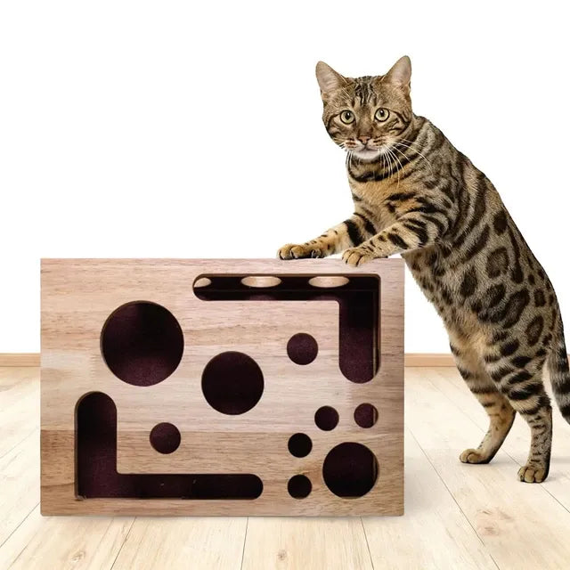 Multifunction box