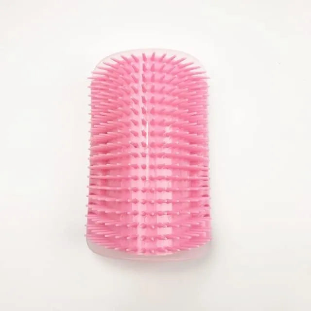 Massage brush