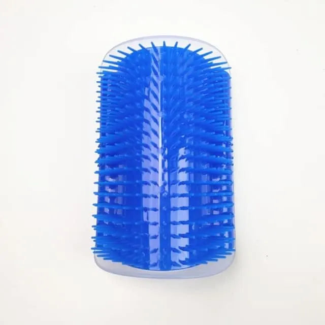 Massage brush