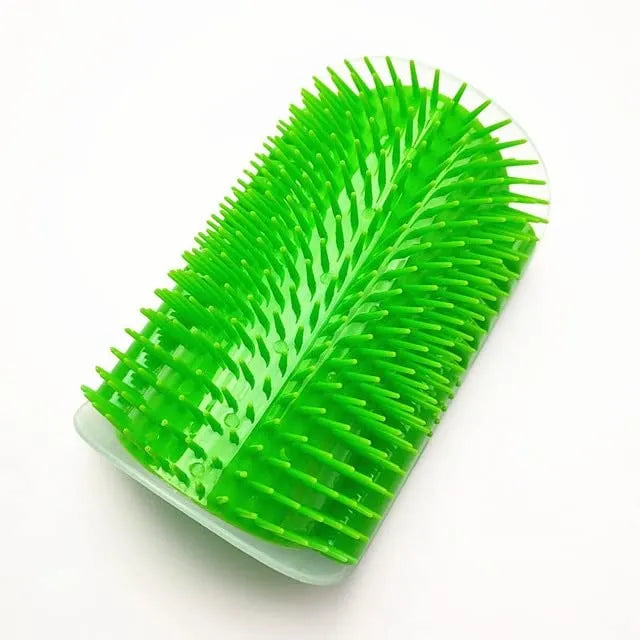 Massage brush