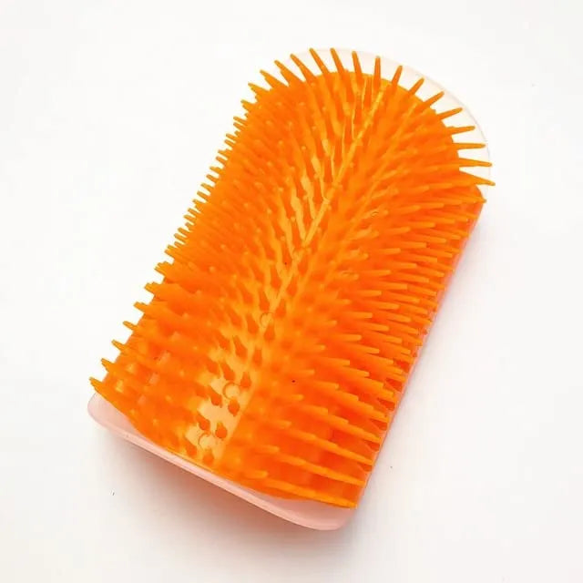 Massage brush