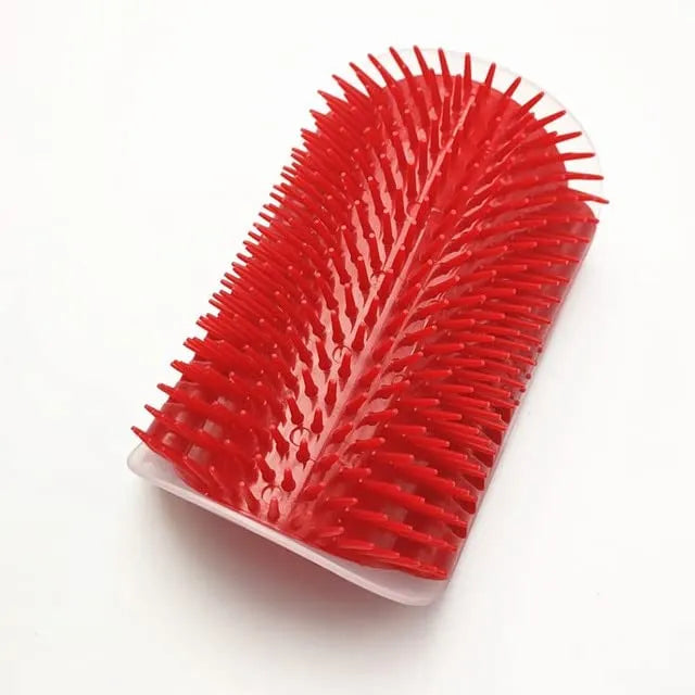 Massage brush
