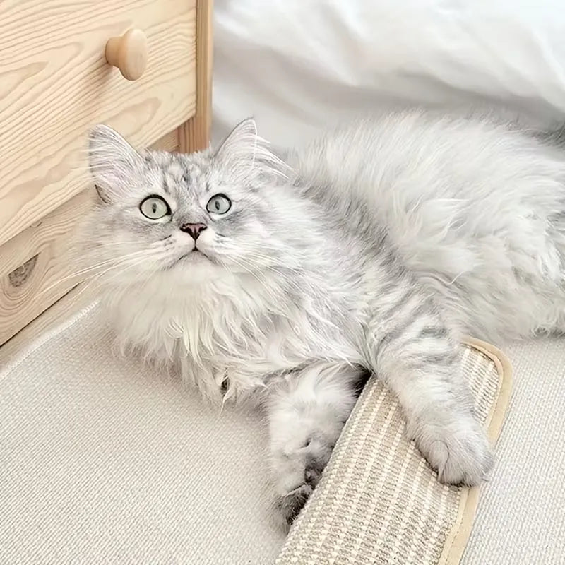 Claw cushion
