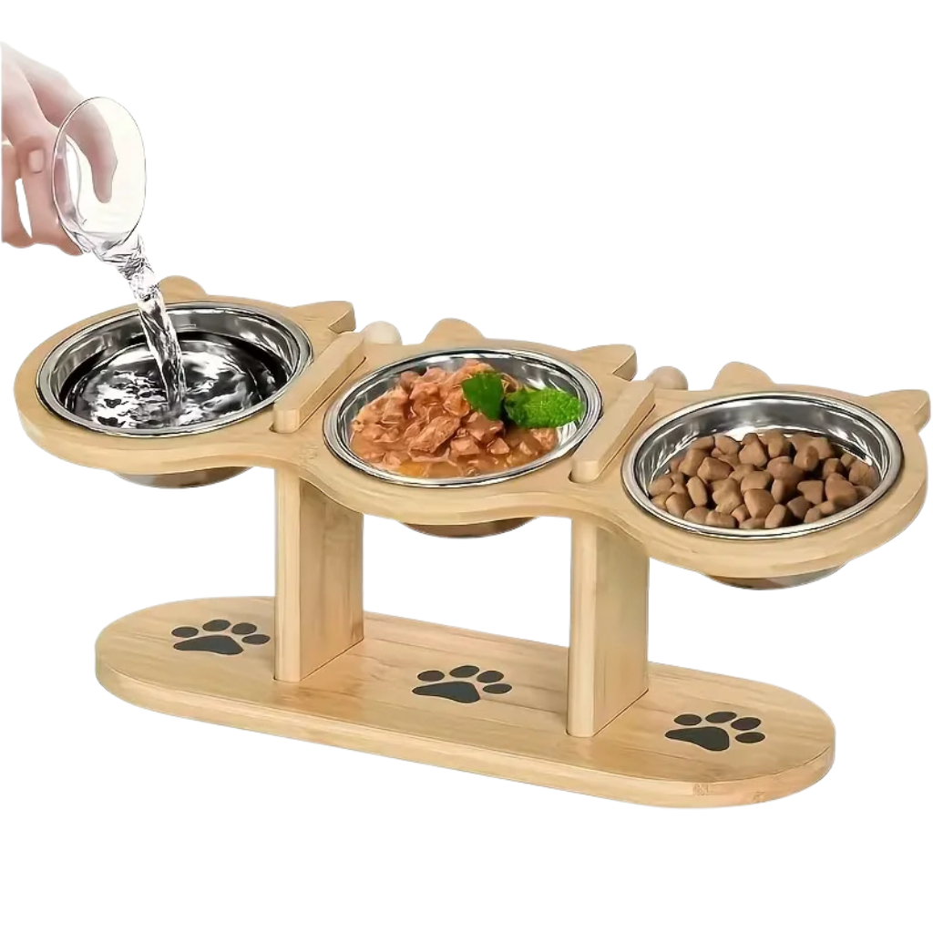 Cat bowl
