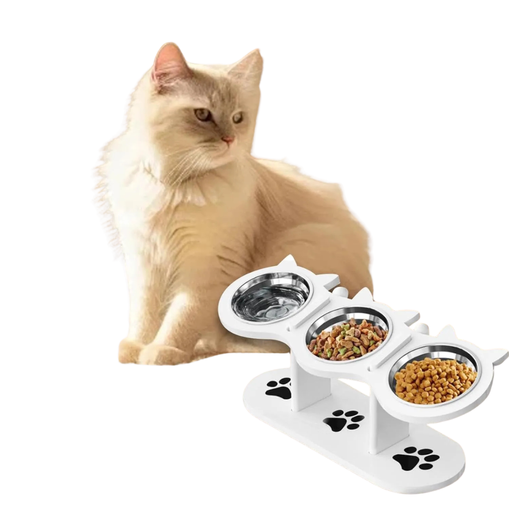 Cat bowl