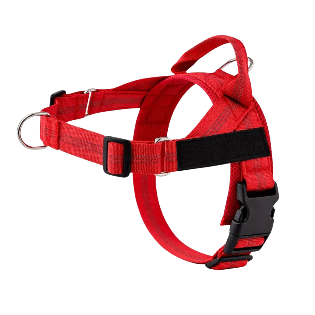 Training Harness