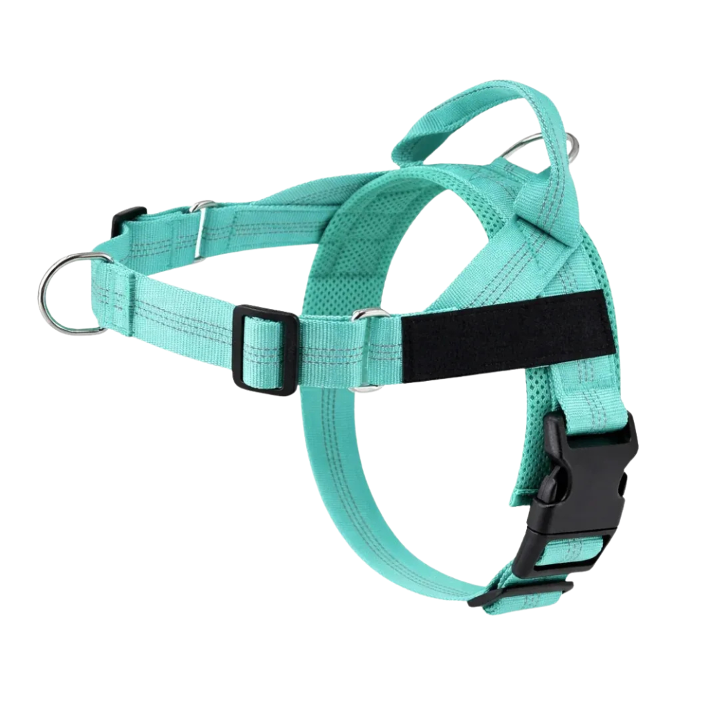 Training Harness