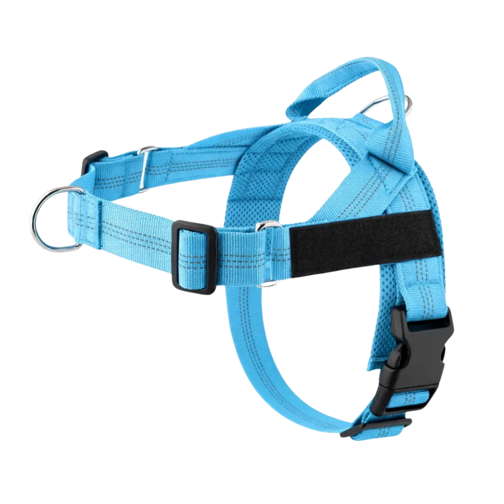 Training Harness
