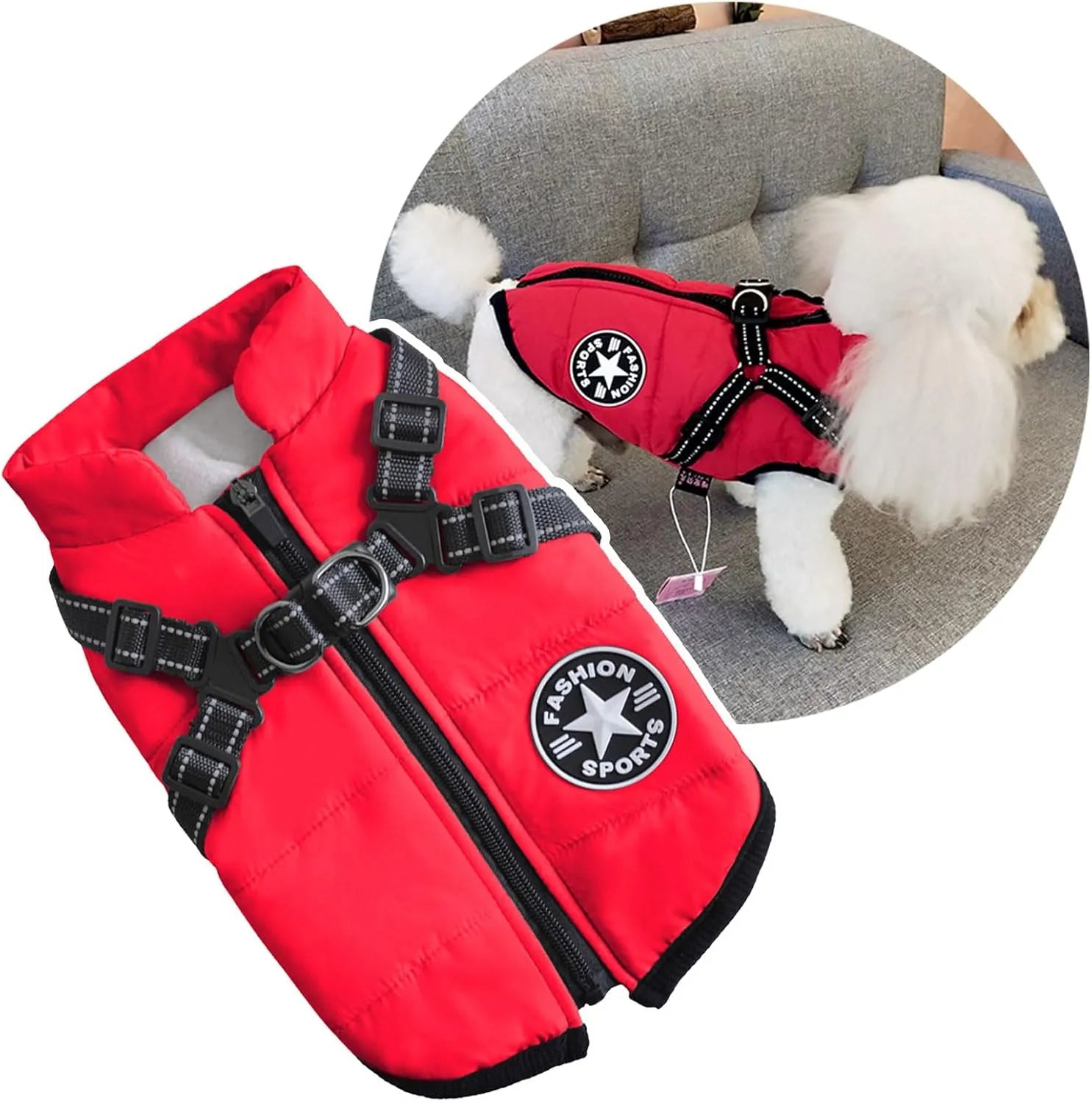 Harnais pour chien