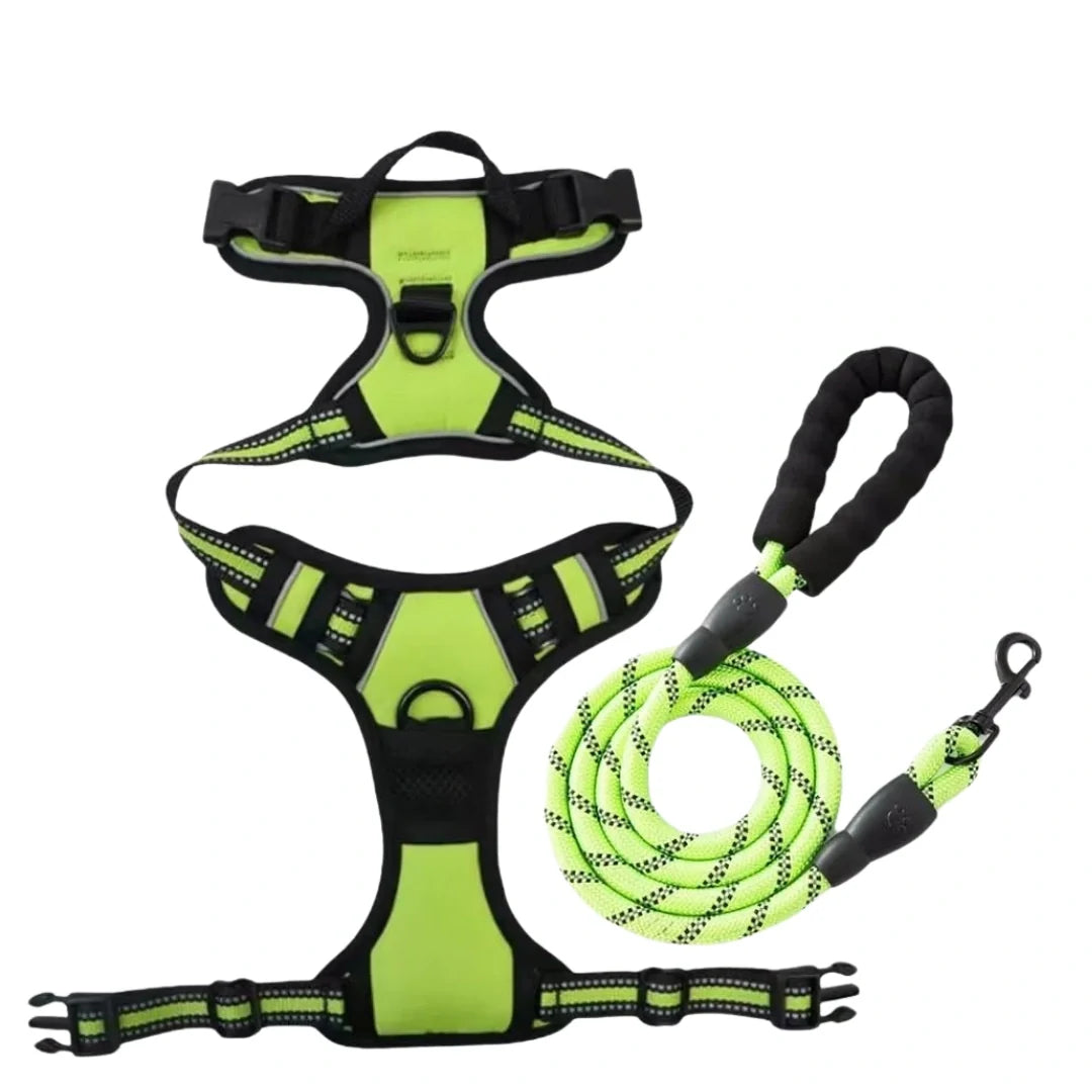 Dog harnesses