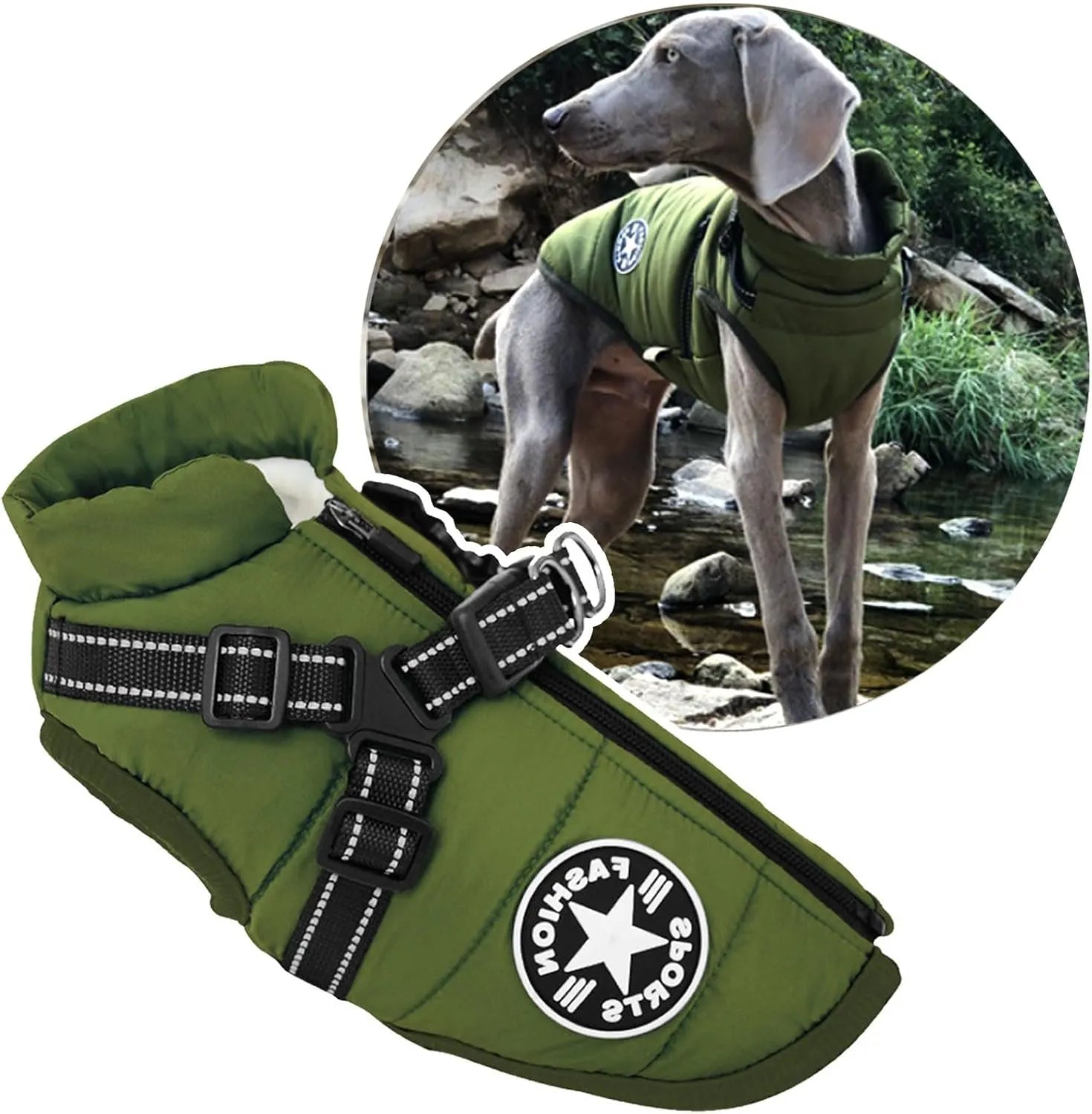 Harnais pour chien