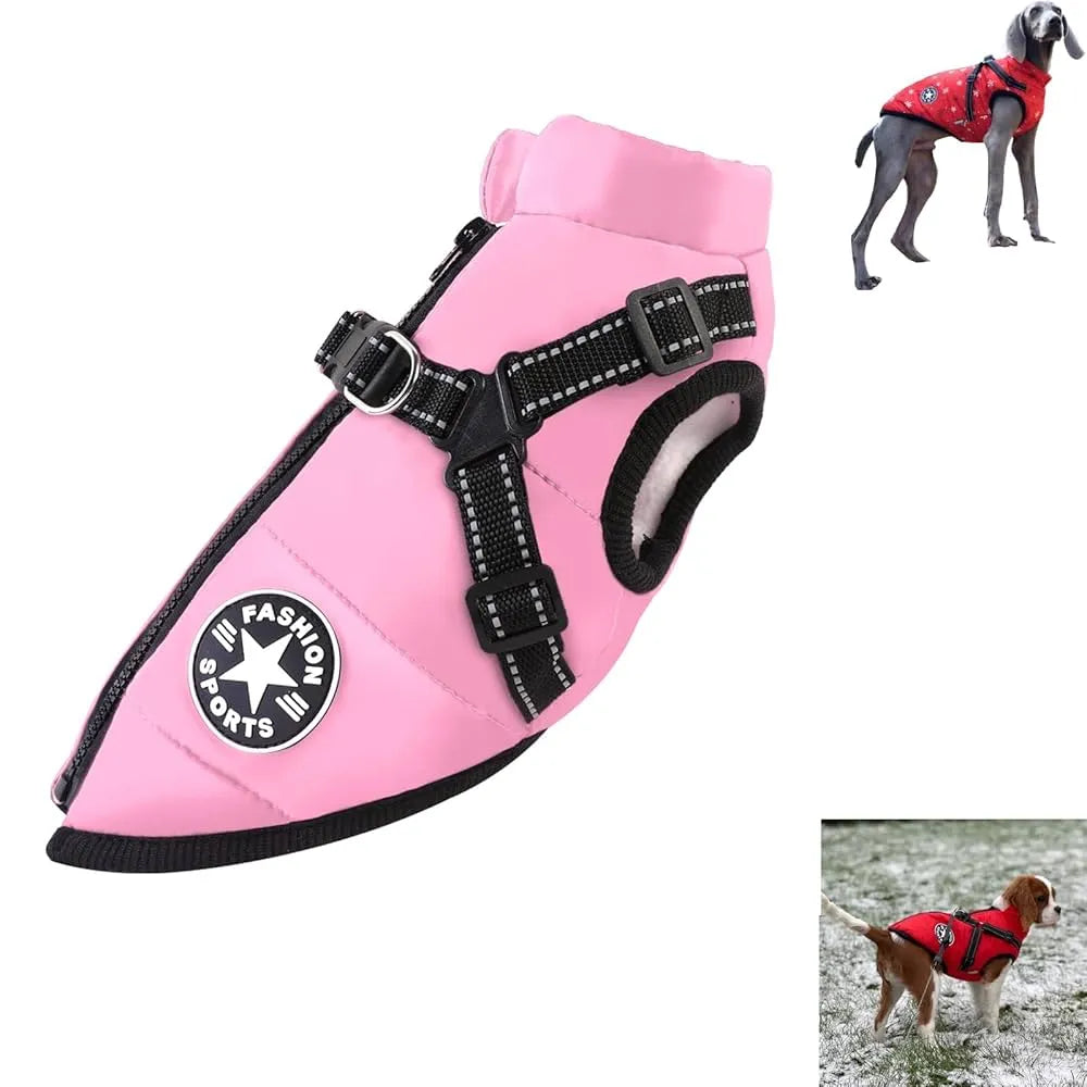 Harnais pour chien