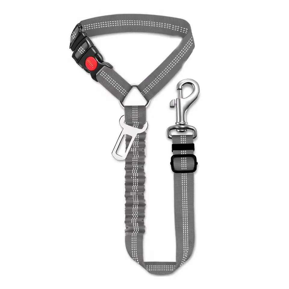Car leash