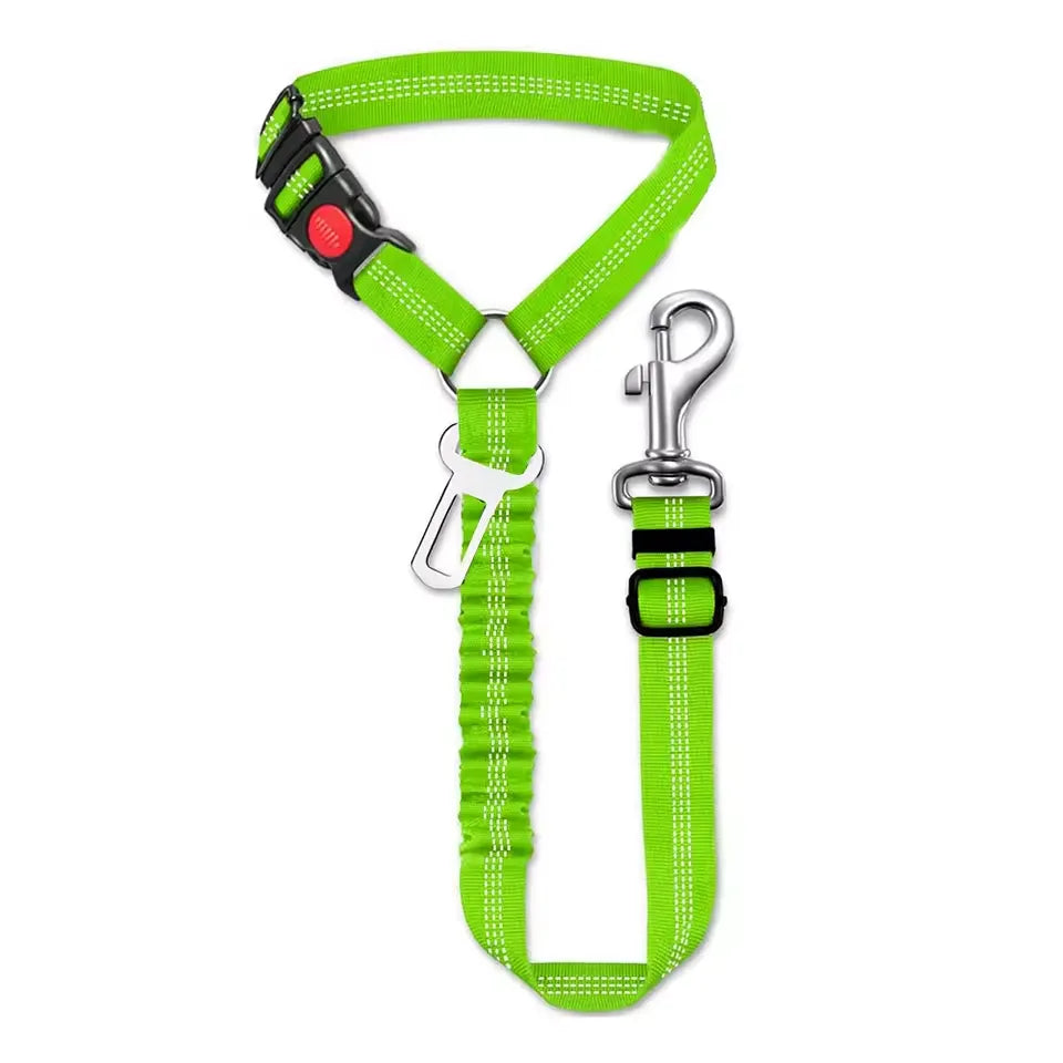 Car leash