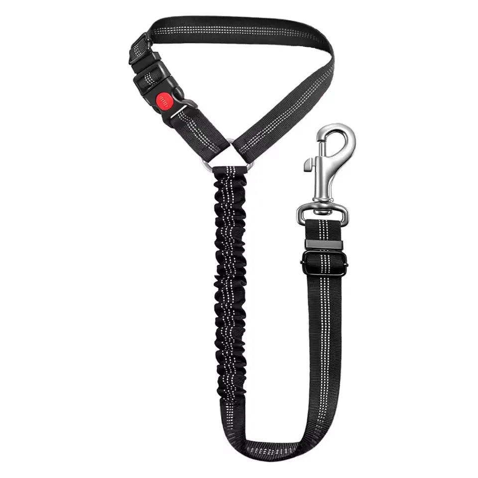 Car leash