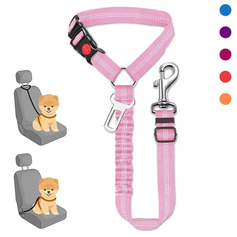 Car leash