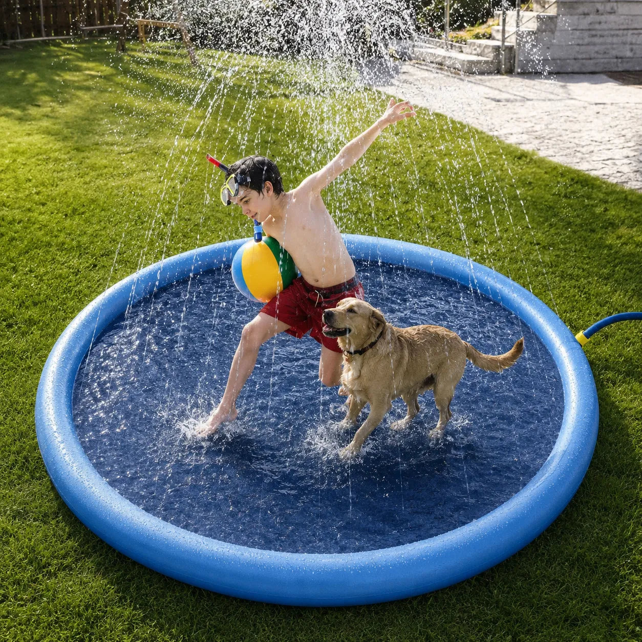 Dog pool