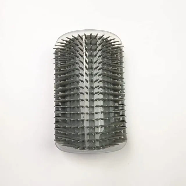 Massage brush