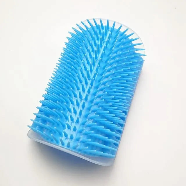 Massage brush