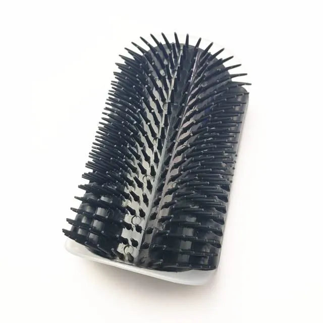 Massage brush