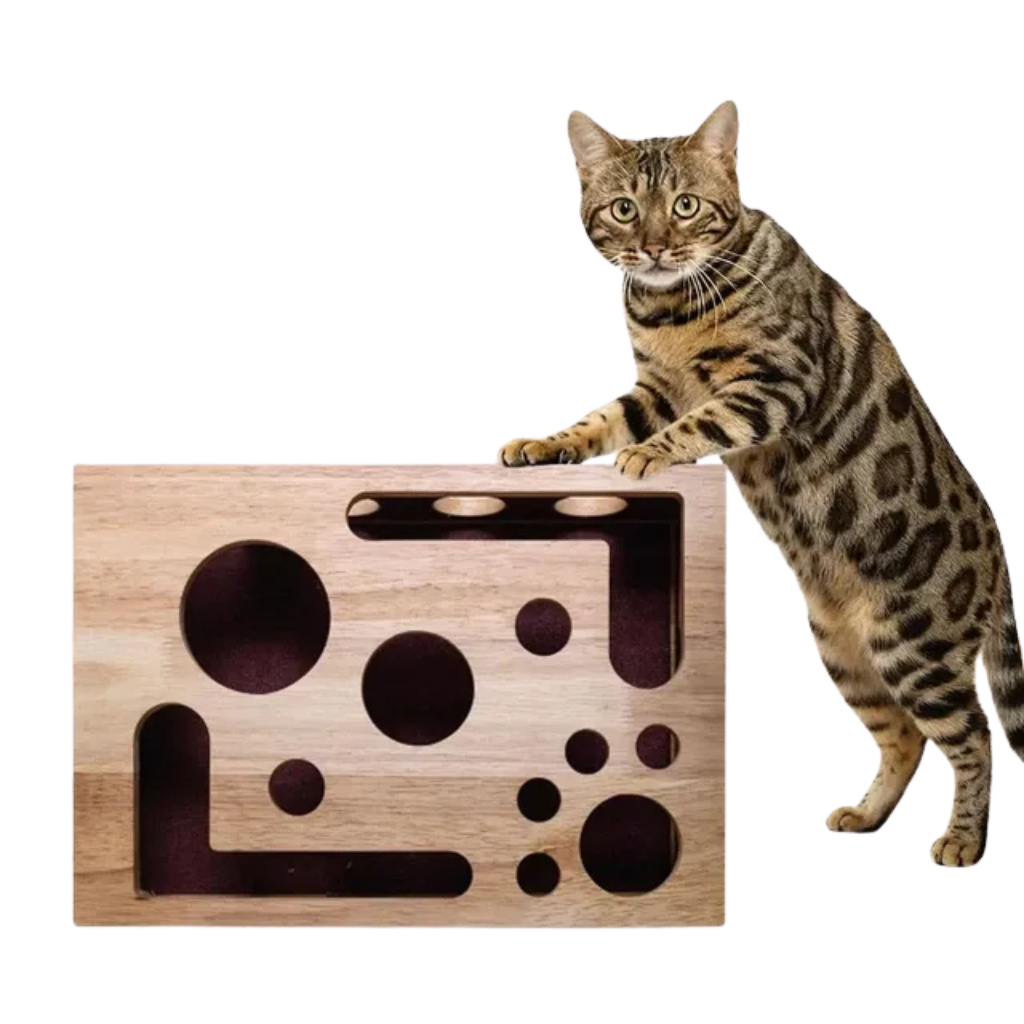 Boîte multifonction