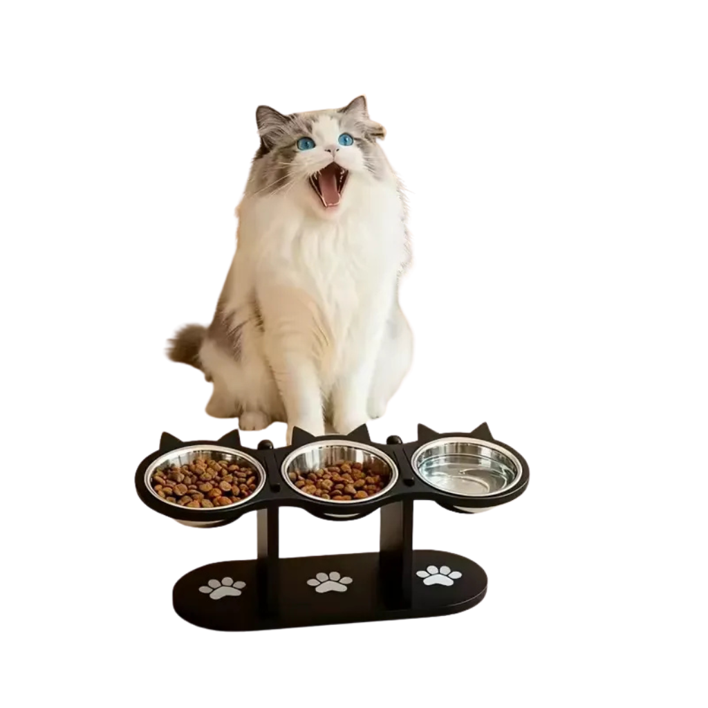 Cat bowl