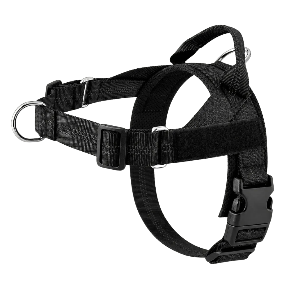 Training Harness