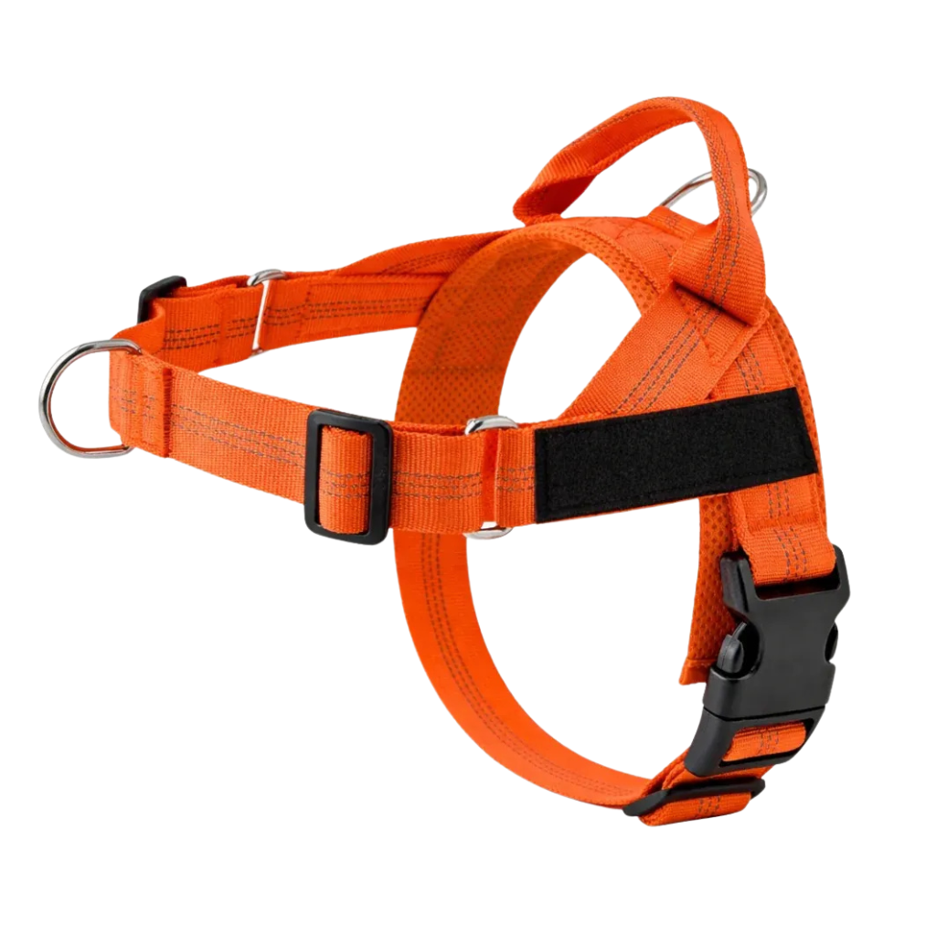 Training Harness