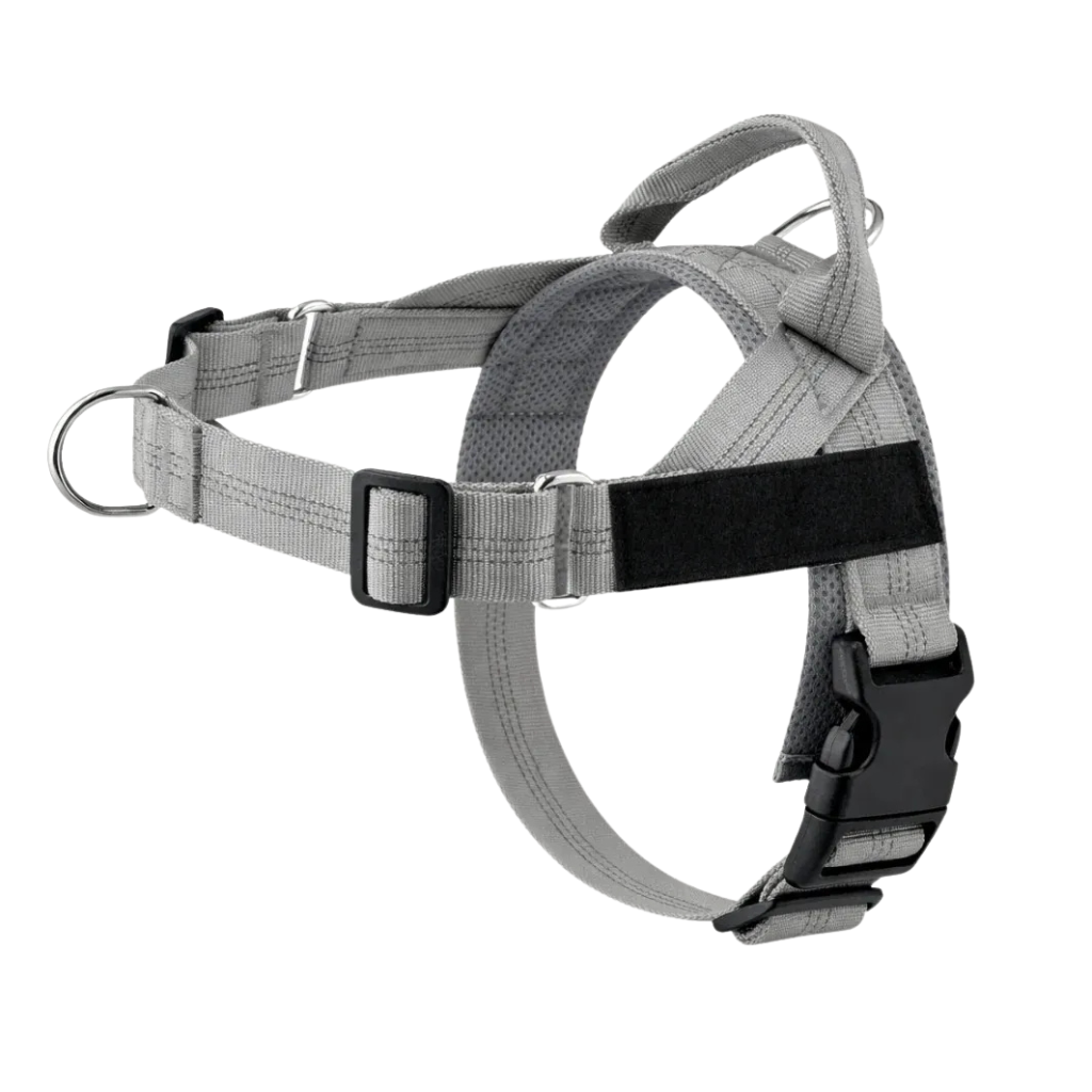 Training Harness