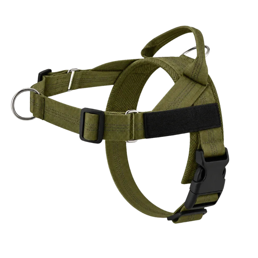 Training Harness