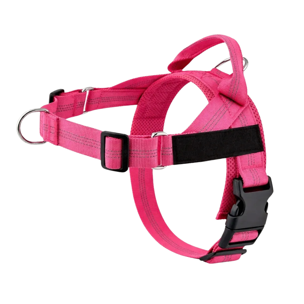 Training Harness