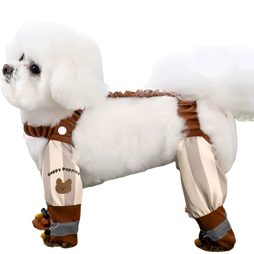 Ensemble pour chien