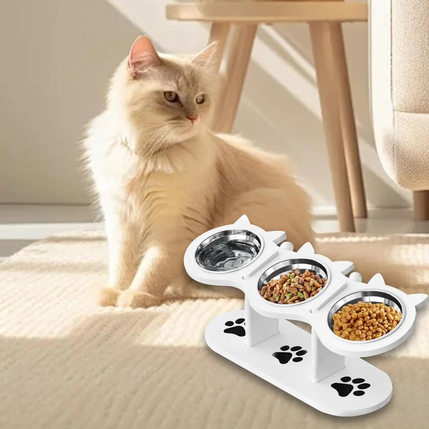 Cat bowl