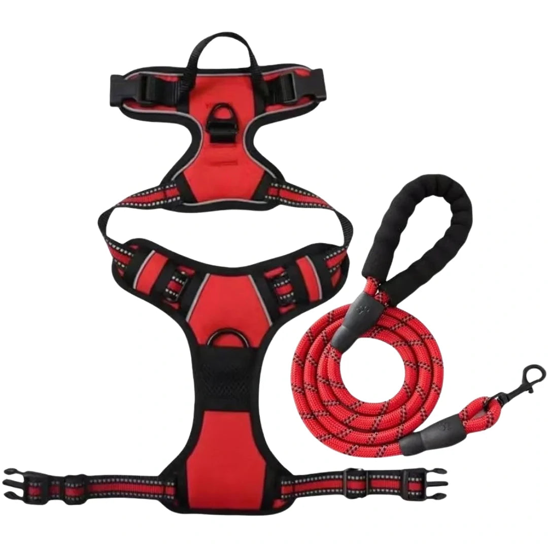 Dog harnesses