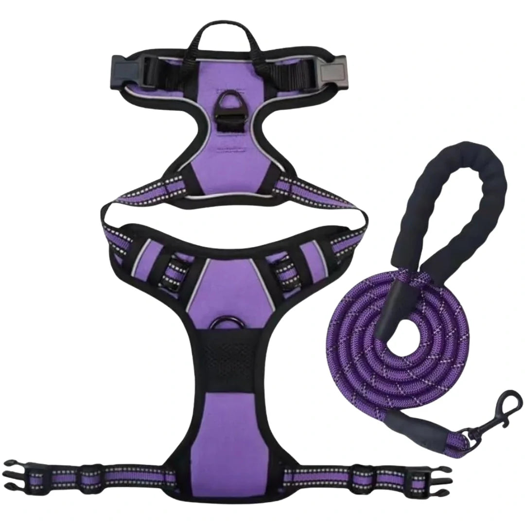 Dog harnesses