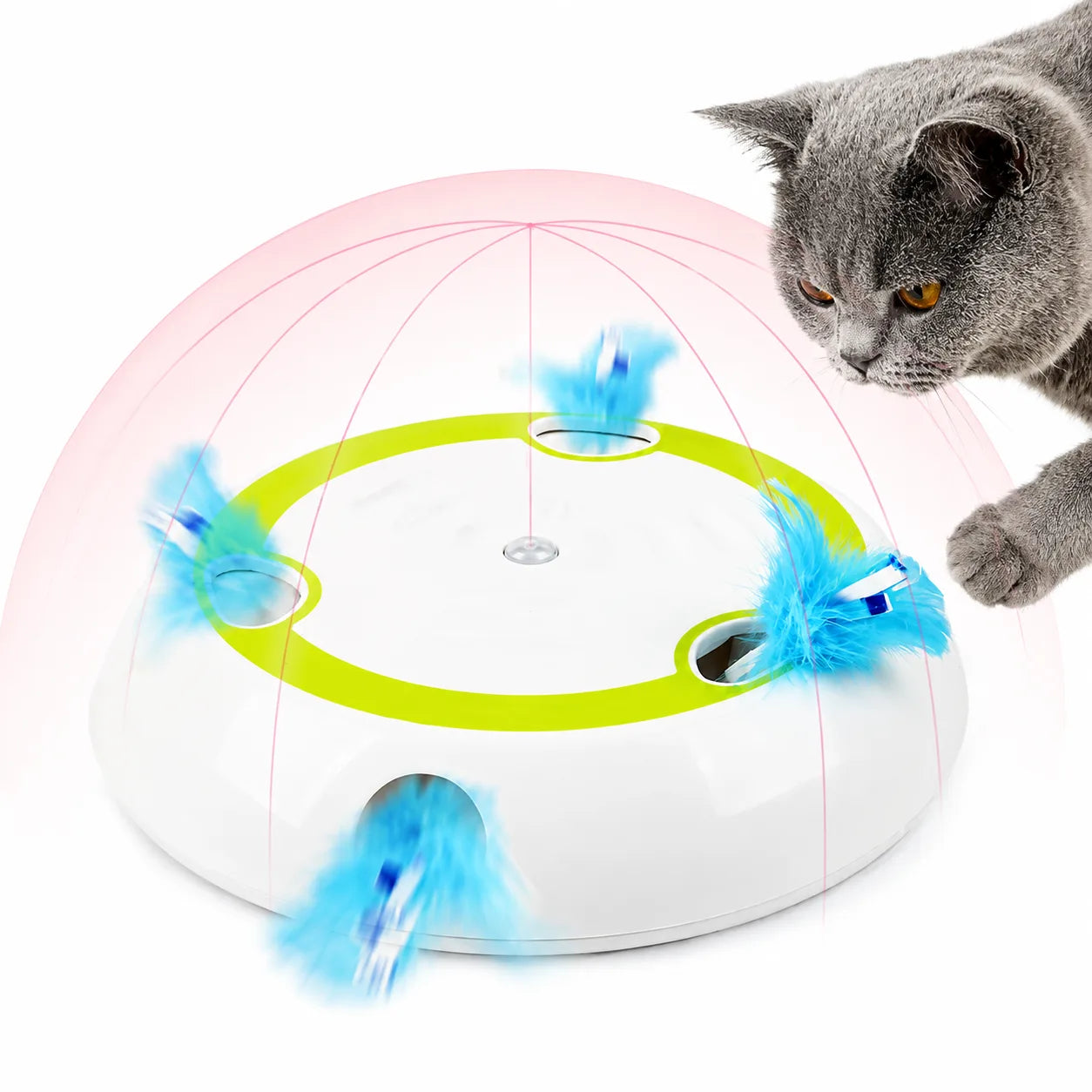 Feather toy