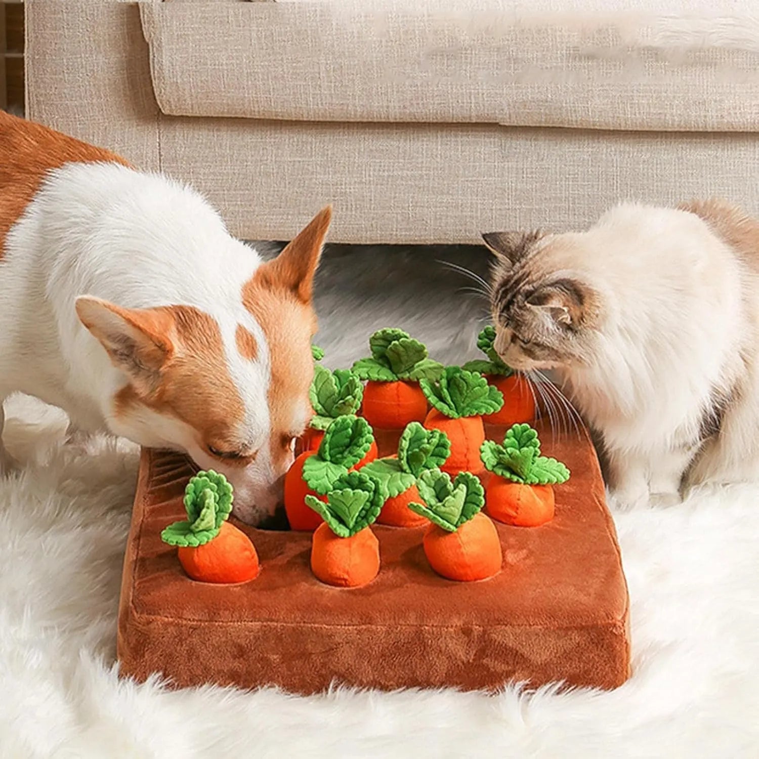Sniffing toy