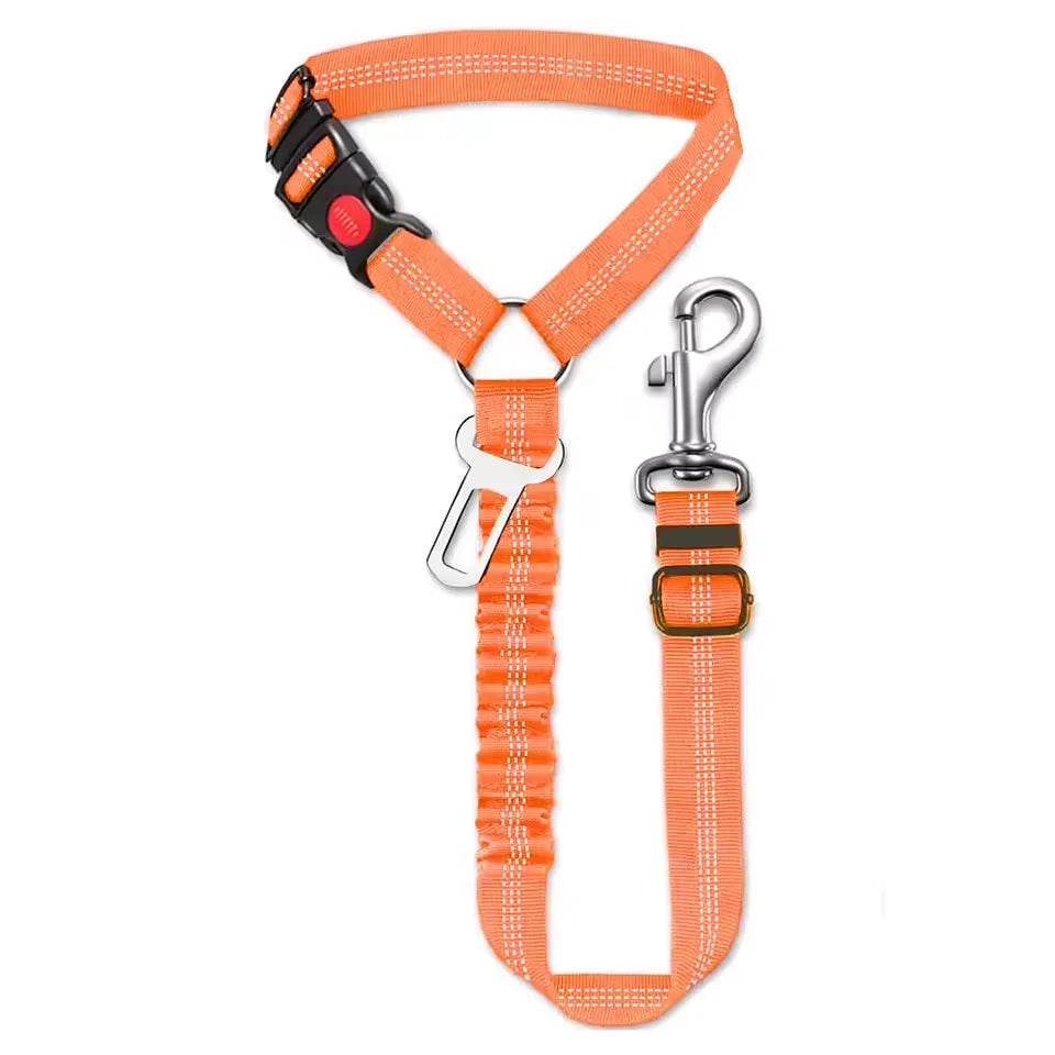 Car leash