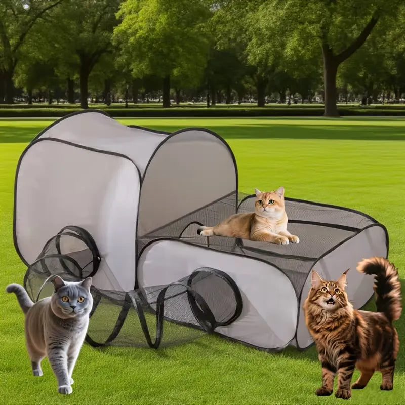 Cat tunnel